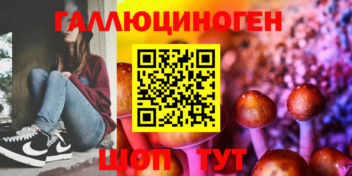 Гатчина  Галлюциногенные грибы MAGIC MUSHROOMS  Вход с VPN 