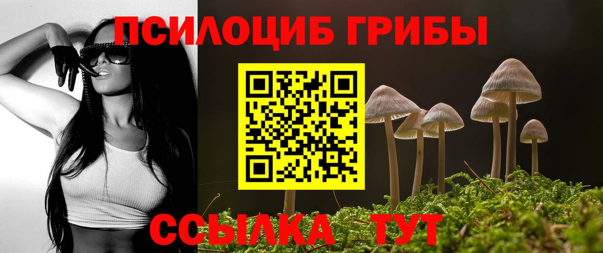 Галлюциногенные грибы прущие грибы Гатчина